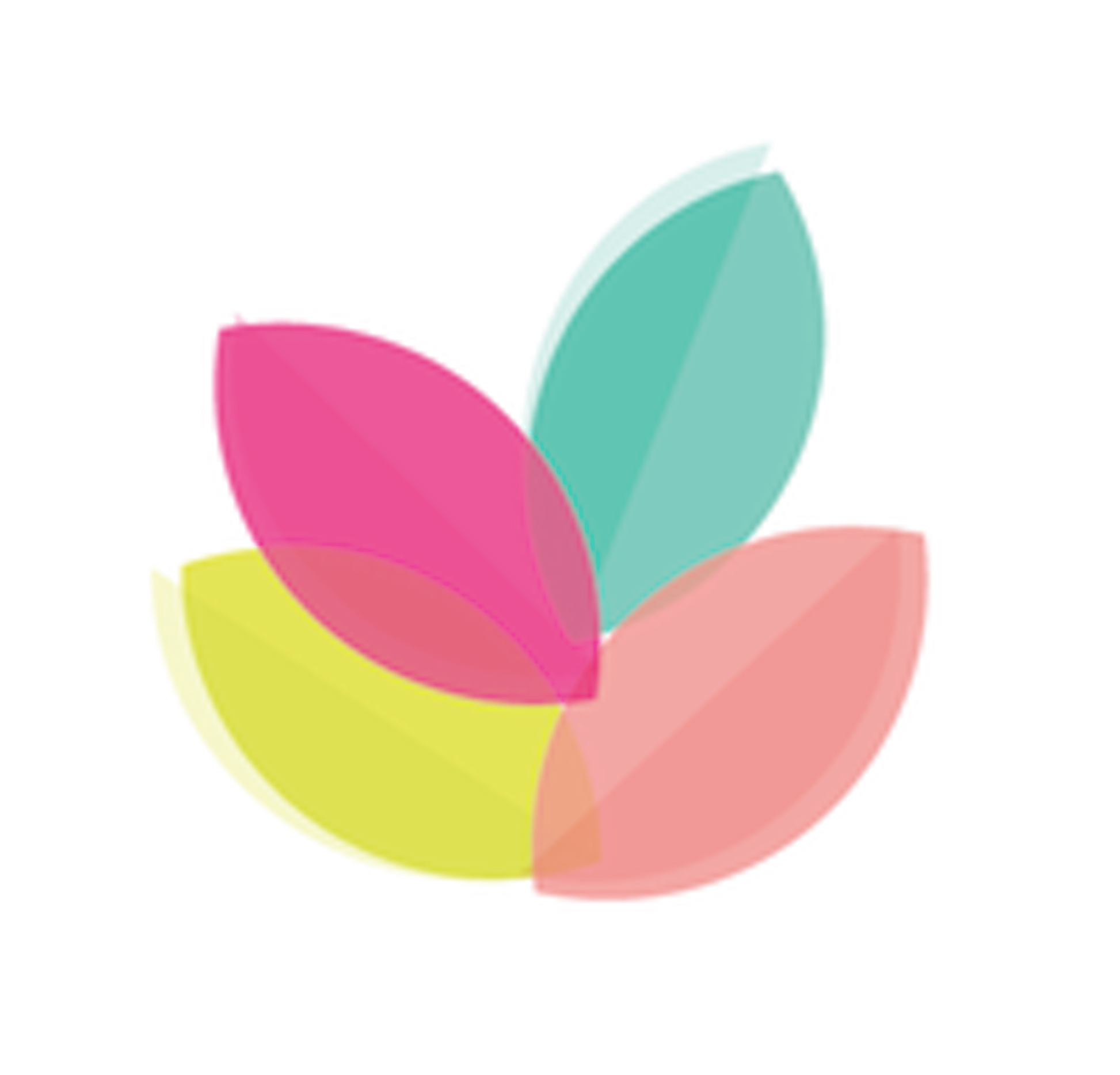 Anti-Viral Essential Oil Blend 10ml